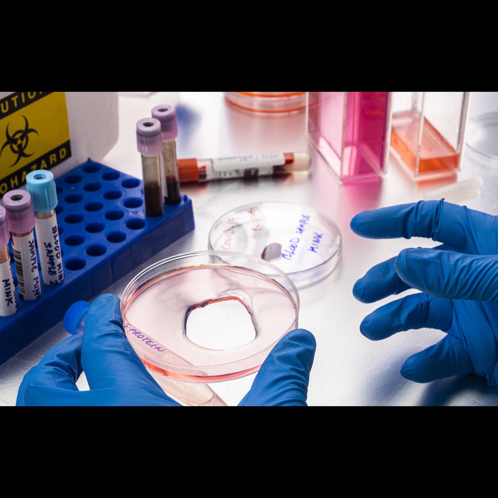 1 | PEB ''4x'' | protein extraction buffer