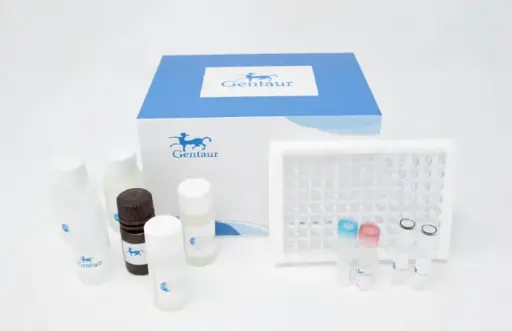[0570-ODZ-189] Legionella pneumophila ''Legionnaires‘ disease'' Ag rapid test Assay   20 test/Assay